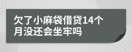 欠了小麻袋借贷14个月没还会坐牢吗