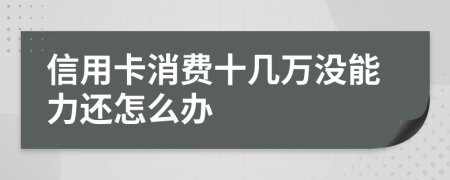 信用卡消费十几万没能力还怎么办