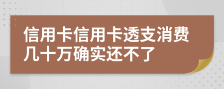 信用卡信用卡透支消费几十万确实还不了