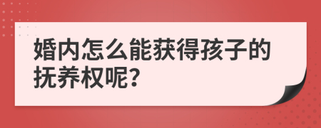 婚内怎么能获得孩子的抚养权呢？