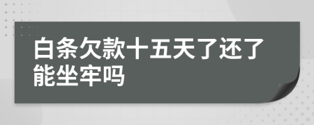 白条欠款十五天了还了能坐牢吗