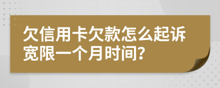 欠信用卡欠款怎么起诉宽限一个月时间？