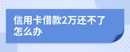 信用卡借款2万还不了怎么办