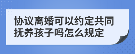 协议离婚可以约定共同抚养孩子吗怎么规定