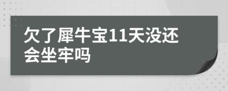 欠了犀牛宝11天没还会坐牢吗