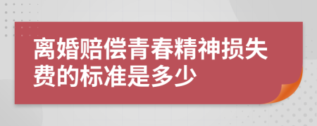 离婚赔偿青春精神损失费的标准是多少