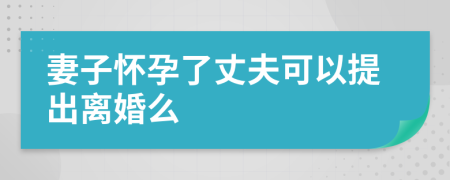 妻子怀孕了丈夫可以提出离婚么