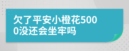 欠了平安小橙花5000没还会坐牢吗