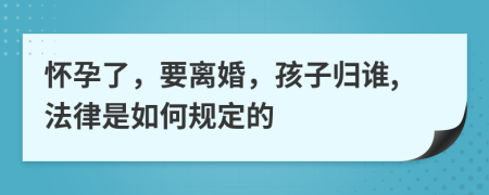 怀孕了，要离婚，孩子归谁,法律是如何规定的
