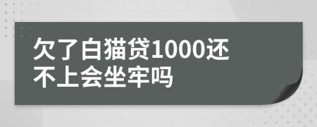 欠了白猫贷1000还不上会坐牢吗