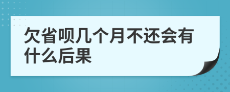 欠省呗几个月不还会有什么后果