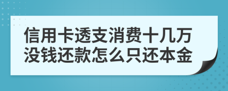 信用卡透支消费十几万没钱还款怎么只还本金