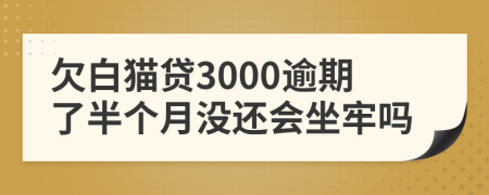 欠白猫贷3000逾期了半个月没还会坐牢吗