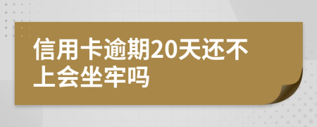 信用卡逾期20天还不上会坐牢吗