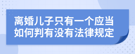 离婚儿子只有一个应当如何判有没有法律规定