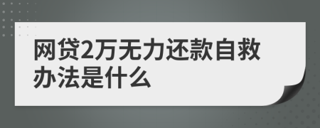 网贷2万无力还款自救办法是什么