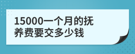 15000一个月的抚养费要交多少钱