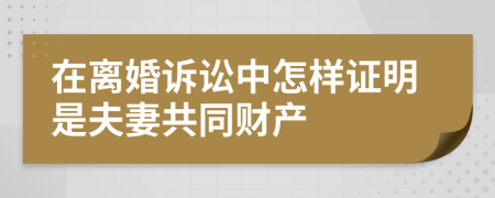 在离婚诉讼中怎样证明是夫妻共同财产