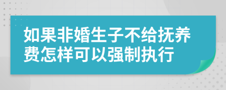 如果非婚生子不给抚养费怎样可以强制执行