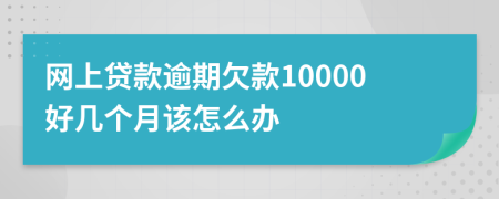 网上贷款逾期欠款10000好几个月该怎么办