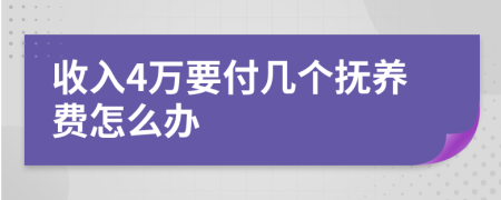 收入4万要付几个抚养费怎么办