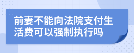 前妻不能向法院支付生活费可以强制执行吗