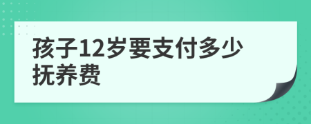 孩子12岁要支付多少抚养费