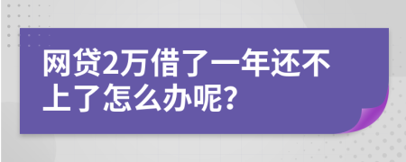 网贷2万借了一年还不上了怎么办呢？