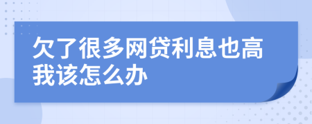 欠了很多网贷利息也高我该怎么办