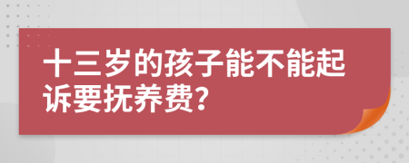 十三岁的孩子能不能起诉要抚养费？