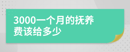 3000一个月的抚养费该给多少