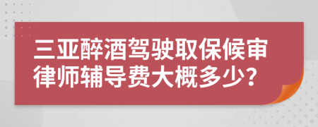 三亚醉酒驾驶取保候审律师辅导费大概多少？