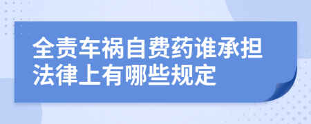 全责车祸自费药谁承担法律上有哪些规定