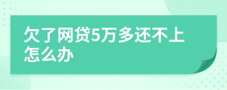 欠了网贷5万多还不上怎么办