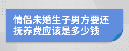 情侣未婚生子男方要还抚养费应该是多少钱