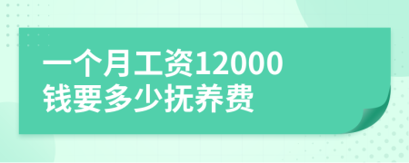 一个月工资12000钱要多少抚养费