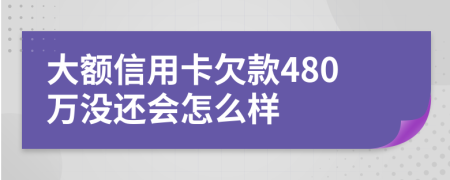 大额信用卡欠款480万没还会怎么样