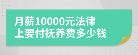 月薪10000元法律上要付抚养费多少钱