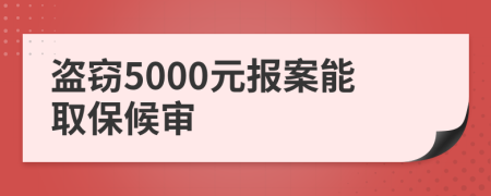 盗窃5000元报案能取保候审