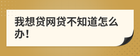 我想贷网贷不知道怎么办！
