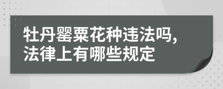 牡丹罂粟花种违法吗,法律上有哪些规定