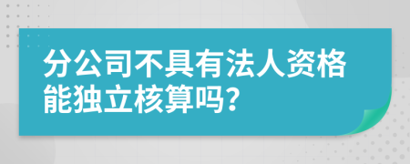 分公司不具有法人资格能独立核算吗？