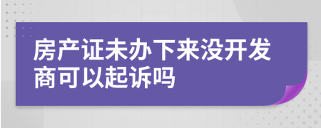 房产证未办下来没开发商可以起诉吗