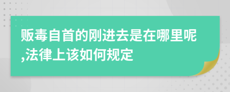 贩毒自首的刚进去是在哪里呢,法律上该如何规定