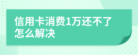 信用卡消费1万还不了怎么解决