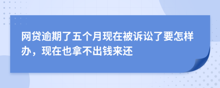 网贷逾期了五个月现在被诉讼了要怎样办，现在也拿不出钱来还