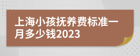 上海小孩抚养费标准一月多少钱2023