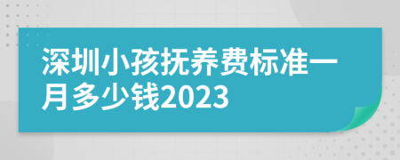 深圳小孩抚养费标准一月多少钱2023