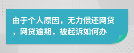 由于个人原因，无力偿还网贷，网贷逾期，被起诉如何办