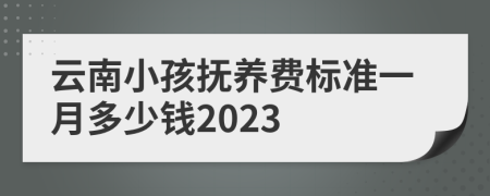 云南小孩抚养费标准一月多少钱2023